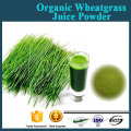 Wheatgrass powder, wheat grass powder extract, certified organic wheat grass juice powder